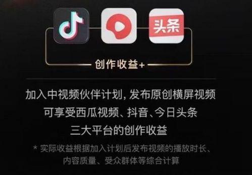 海哥最新爆料视频大全,揭秘娱乐圈幕后真相