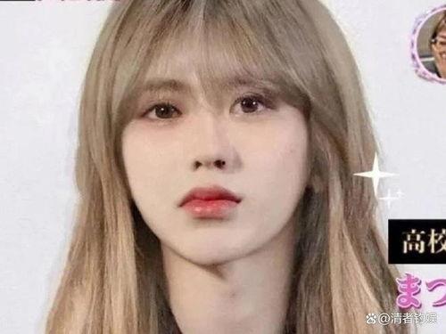 狗仔最新爆料陈哲远,狗仔独家爆料揭秘明星私生活