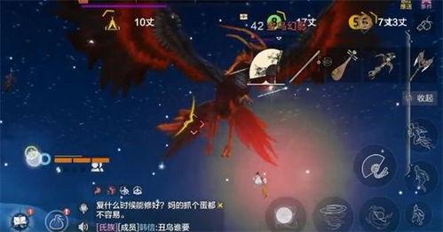 妄想山海最新进化宠爆料,全新进化宠震撼登场，揭秘神秘进化之路！